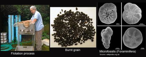 Environmental processing and seeds and microfossils