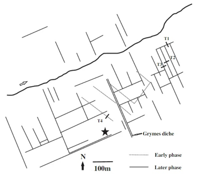 Probable Bronze Age field system, Whitmoor Common (Judie English)