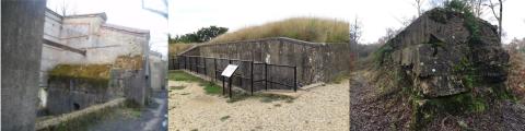 Chilworth Gunpowder Works, Reigate mobilisation centre and Atlantic Wall at Hankley Common (photos Anne Sassin and Chris Reynolds)